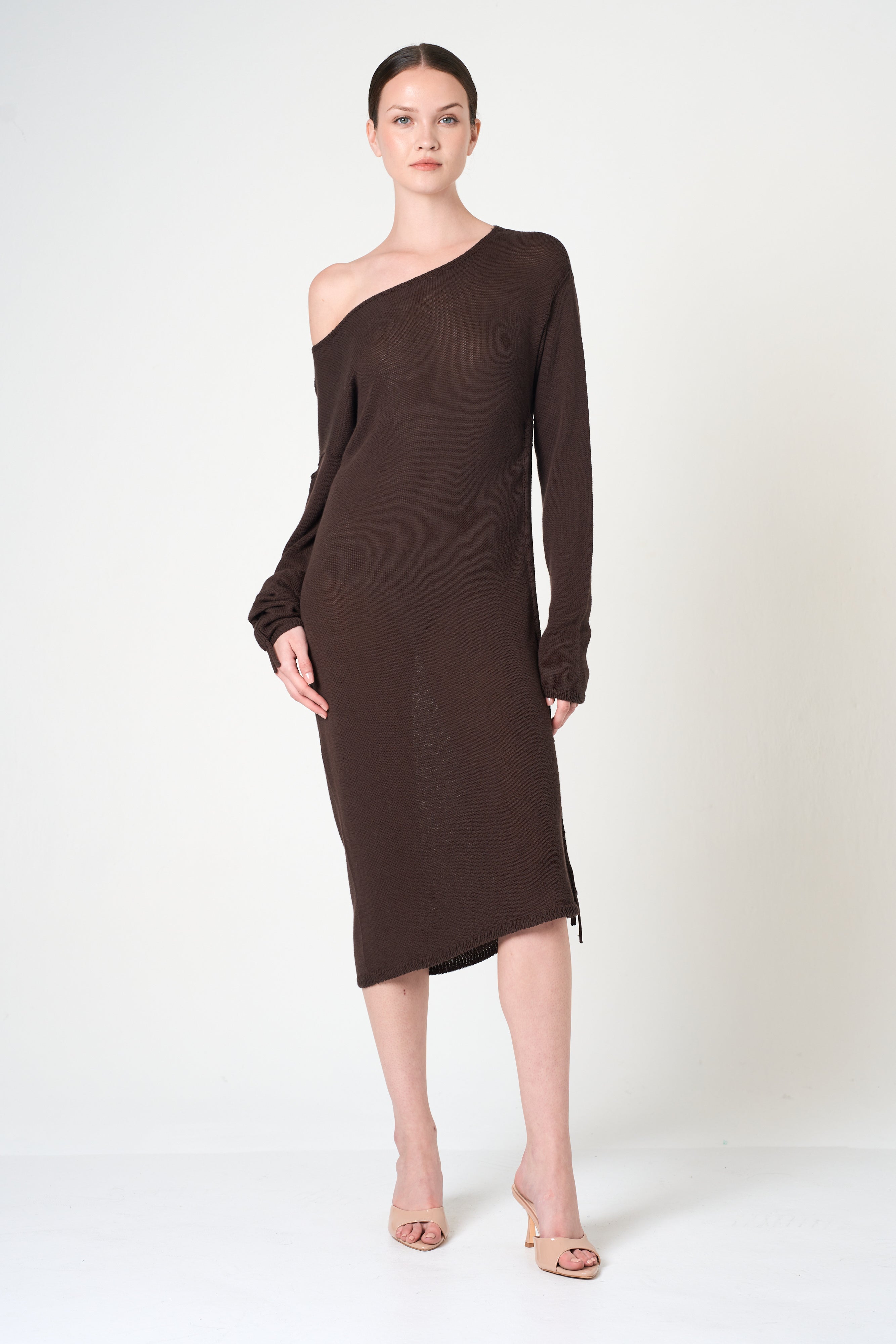 Long Sleeve Dress in Brown
